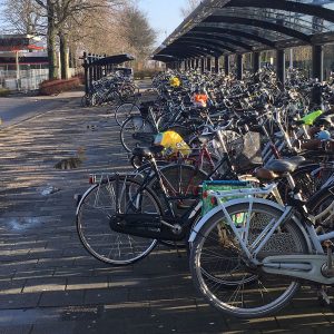 hb-harlinger-belang-fiets-stalling-station-harlingen-02