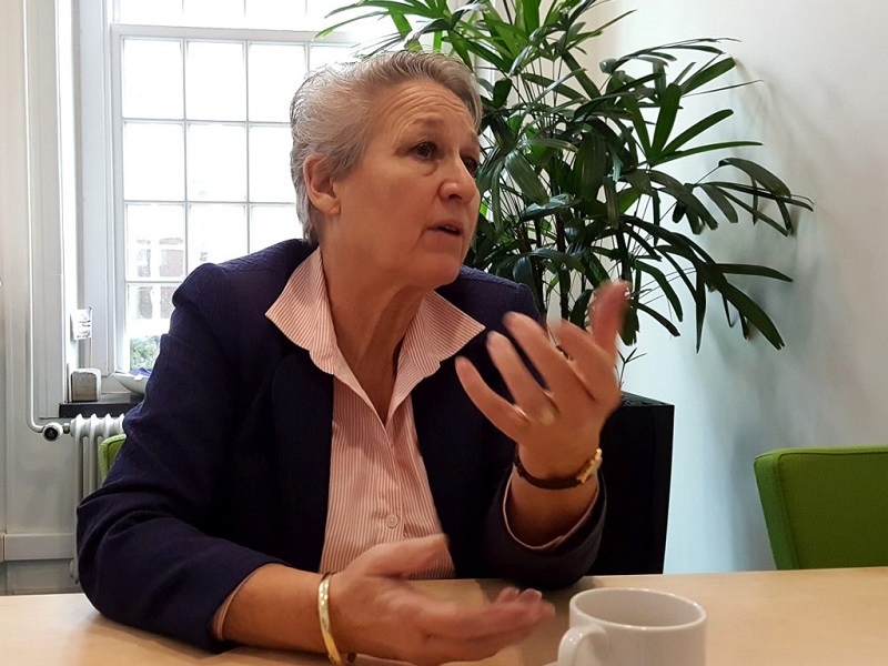 Column: De zeven schoonheden van de Grande dame Harlingen