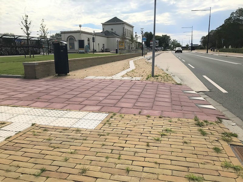 Onkruid ontsiert pas heringerichte stationsgebied